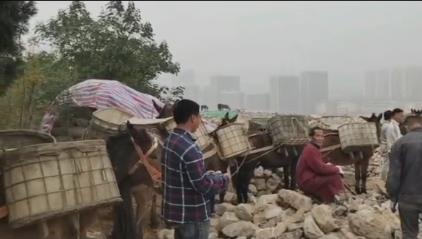 广西骡马山区运输