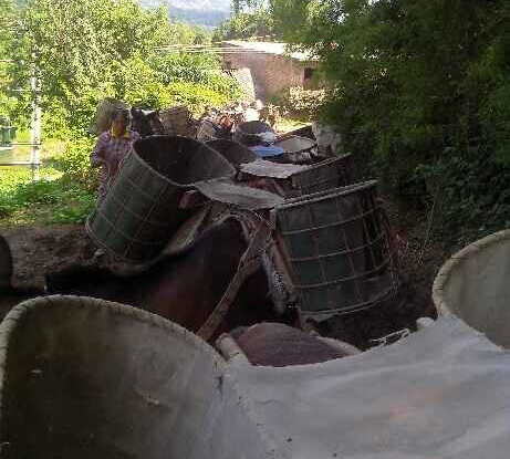 广西骡马运输队