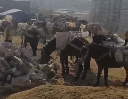 广西马队山路运输