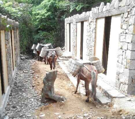 广西马队运输队