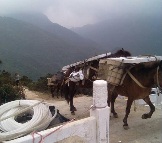 广西山区马帮运输